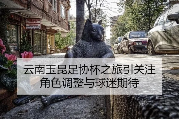 云南玉昆足协杯之旅引关注 角色调整与球迷期待
